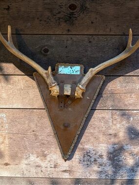 Brown Antler Wall Plaque with Natural Cream Antlers - Decorative Home Accent